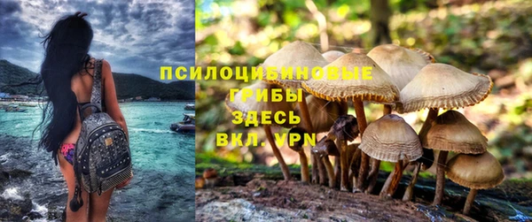 ГАЛЛЮЦИНОГЕННЫЕ ГРИБЫ Зеленокумск
