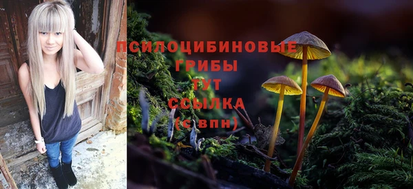 ГАЛЛЮЦИНОГЕННЫЕ ГРИБЫ Пенза