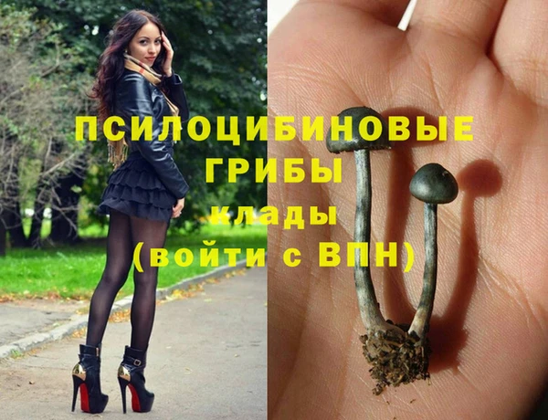 амф Корсаков