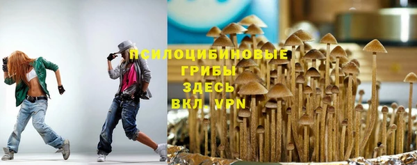 крисы Балашиха