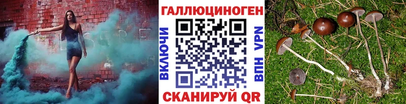 Псилоцибиновые грибы Psilocybine cubensis omg сайт Канск сколько стоит