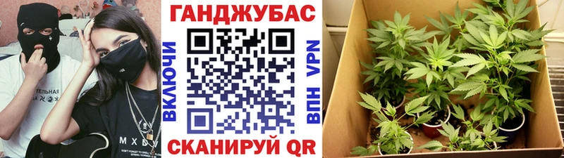 Бошки Шишки конопля  купить наркотики цена  Канск 